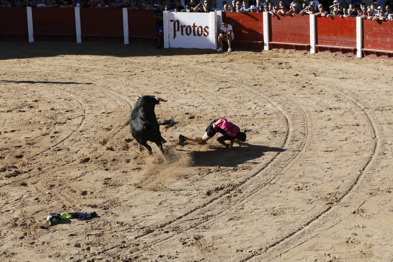 La mañana taurina de Peñafiel, en imágenes