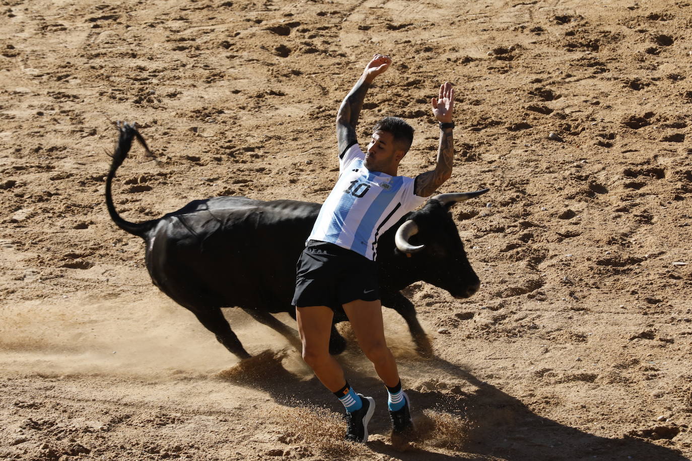 La mañana taurina de Peñafiel, en imágenes