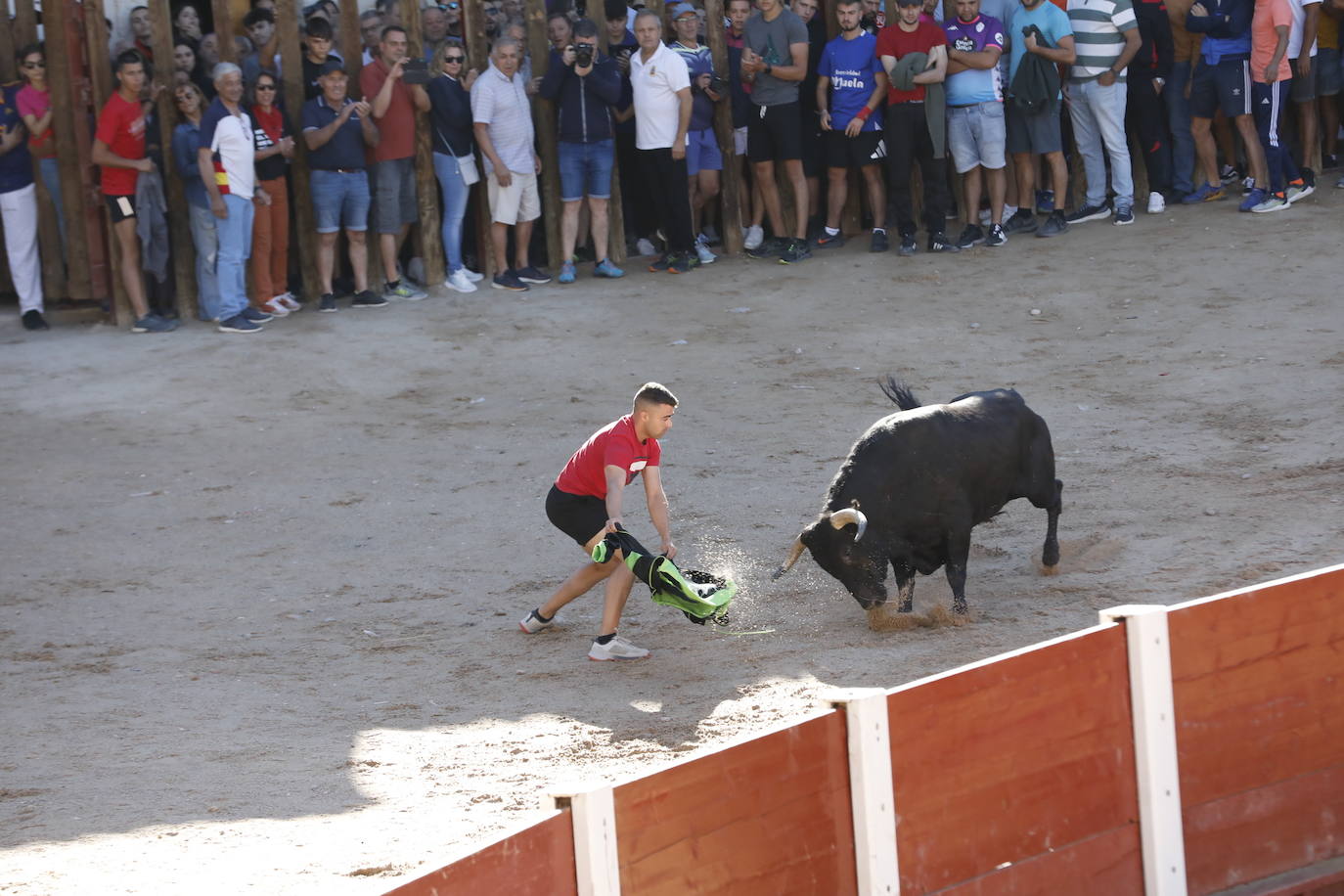 La mañana taurina de Peñafiel, en imágenes