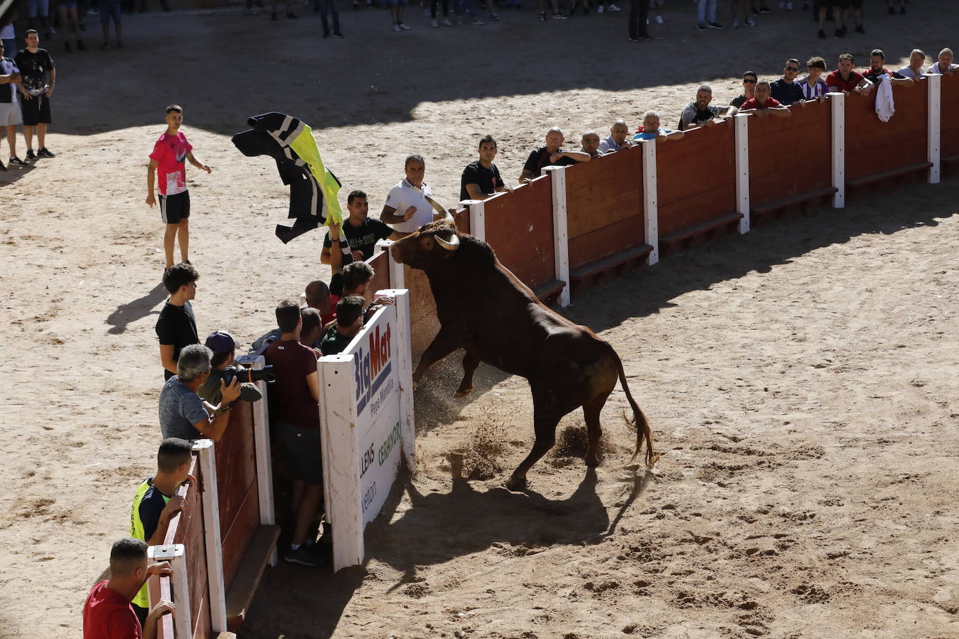 La mañana taurina de Peñafiel, en imágenes