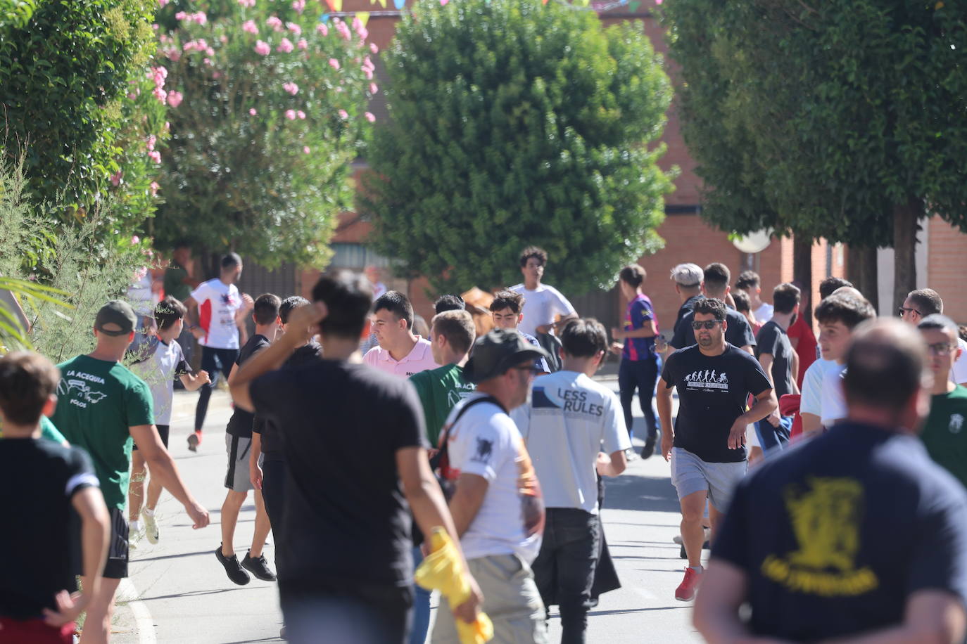 Encierro del sábado en Pollos