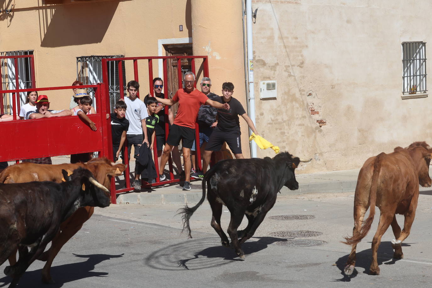 Encierro del sábado en Pollos