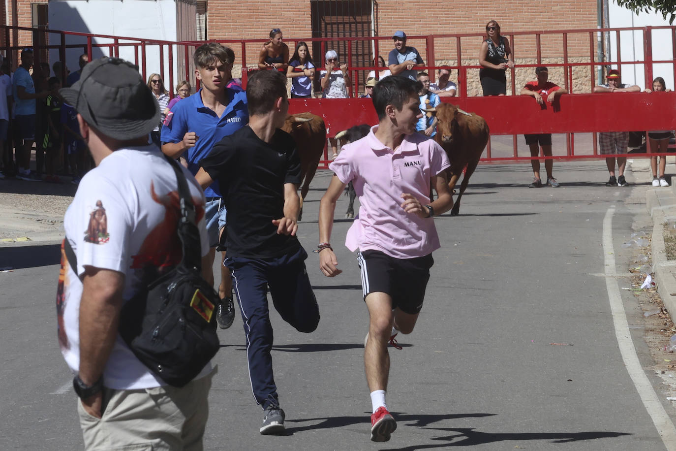 Encierro del sábado en Pollos