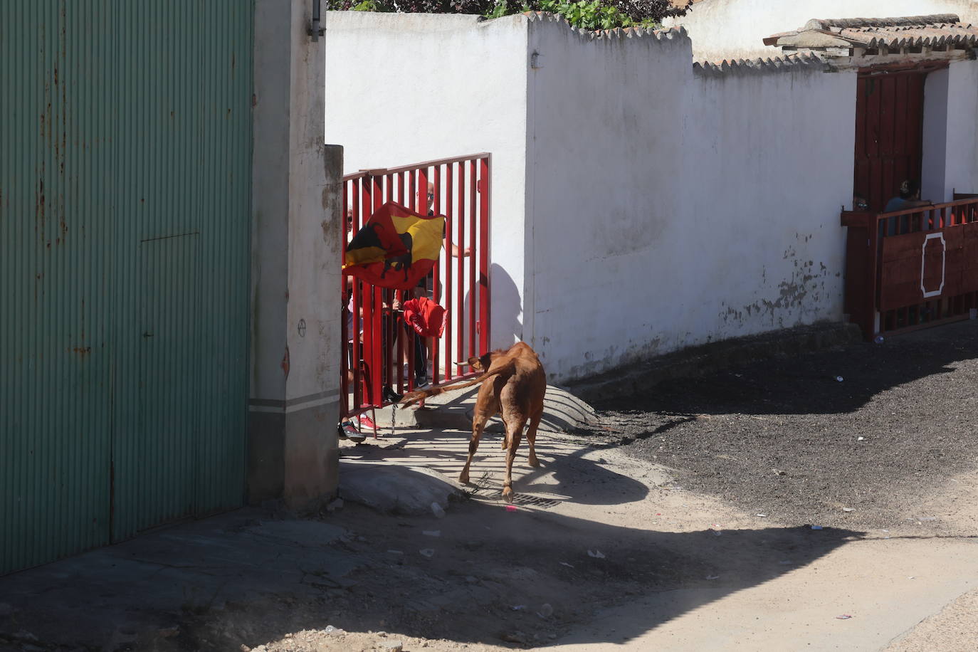 Encierro del sábado en Pollos