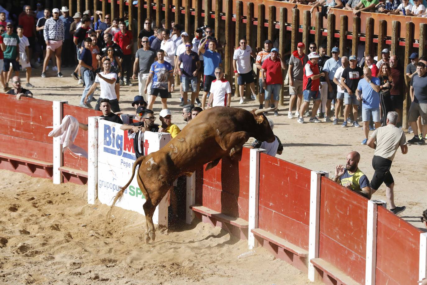 Imágenes de la capea de Peñafiel