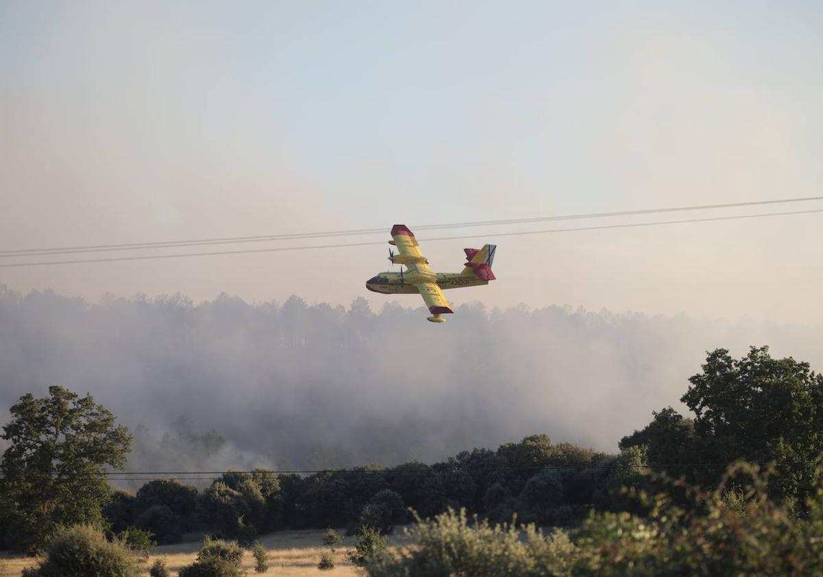 Imagen principal - Muere de un infarto en el desalojo de Sejas de Aliste provocado por el incendio de Trabazos