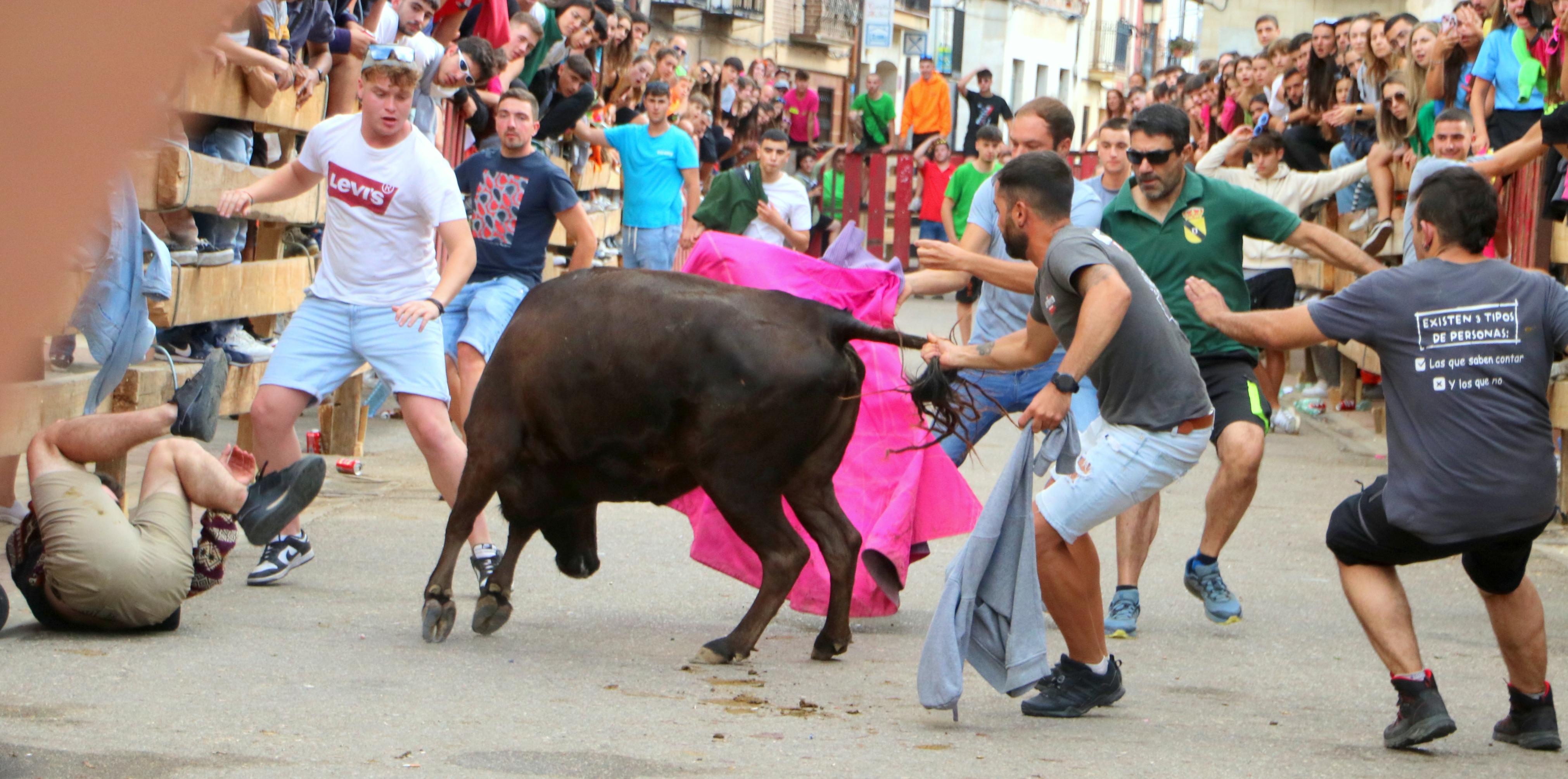 Torquemada, fiel a sus encierros tradicionales