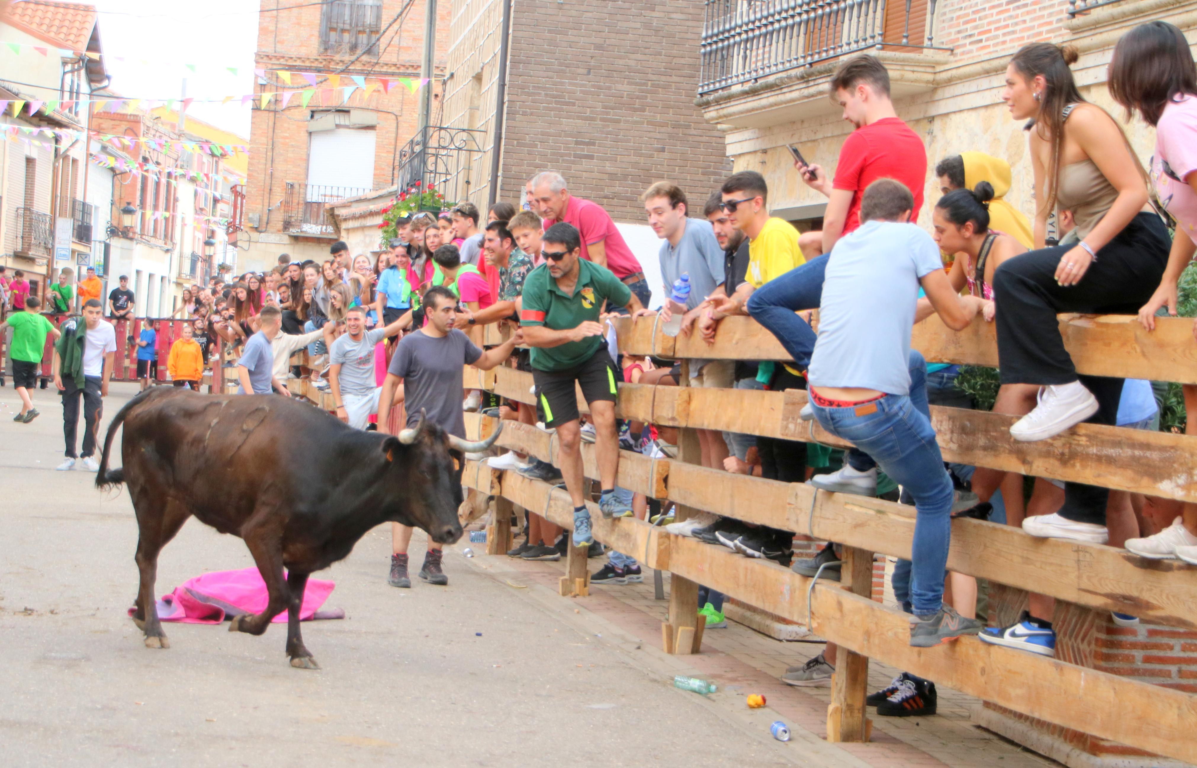 Torquemada, fiel a sus encierros tradicionales