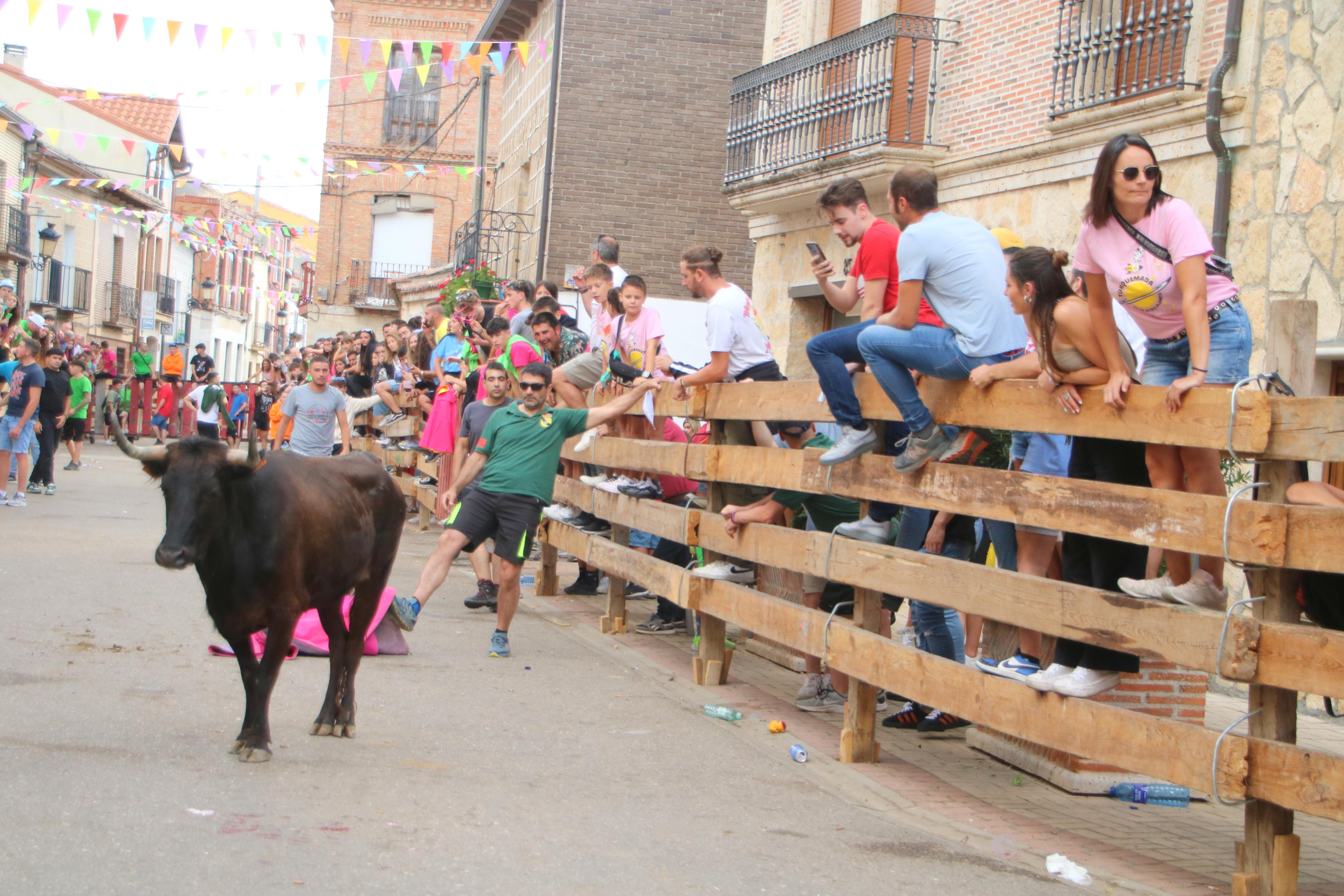 Torquemada, fiel a sus encierros tradicionales