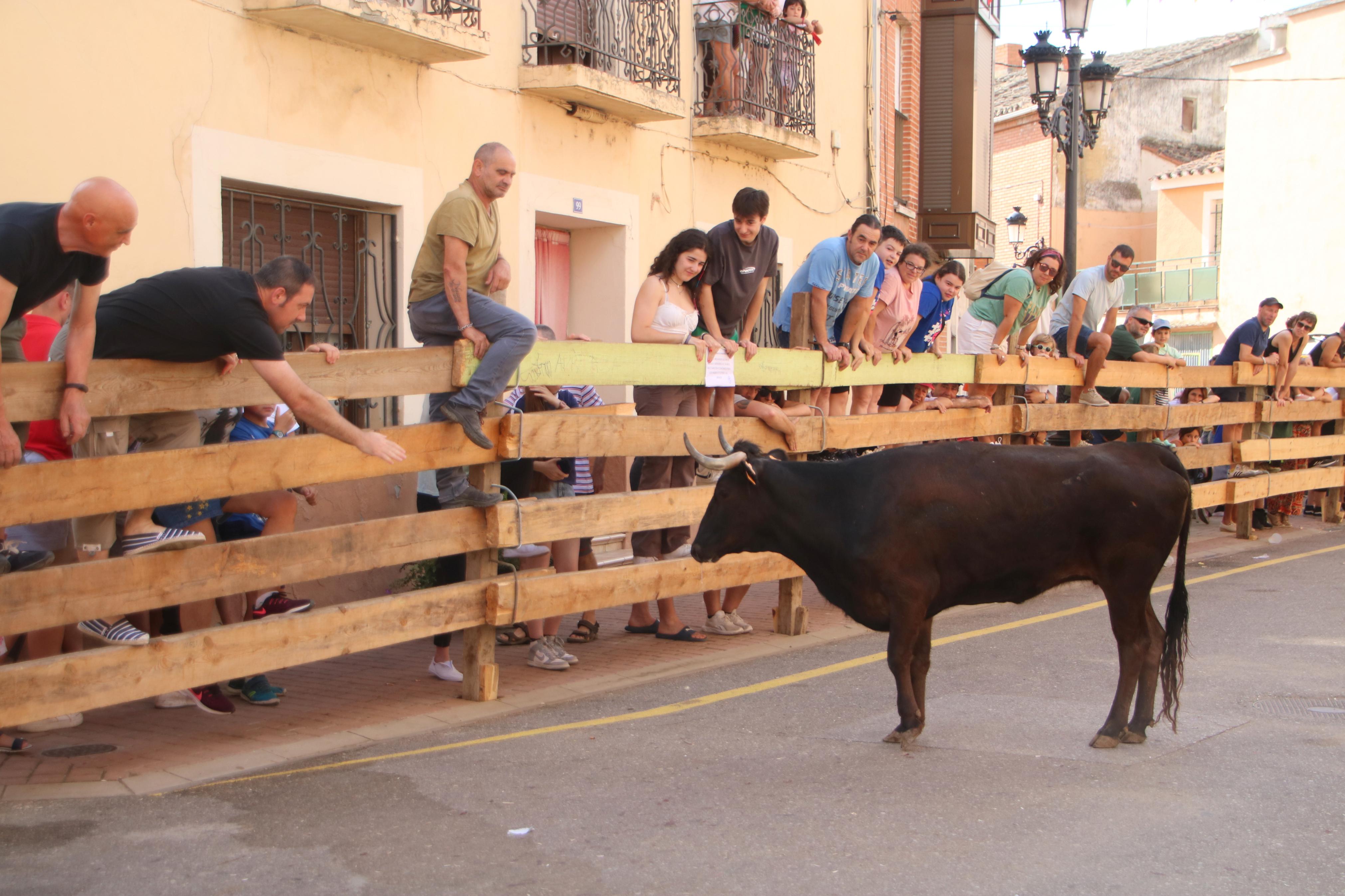 Torquemada, fiel a sus encierros tradicionales