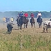 Una decena de personas caen a un arroyo durante el encierro de Aldeamayor