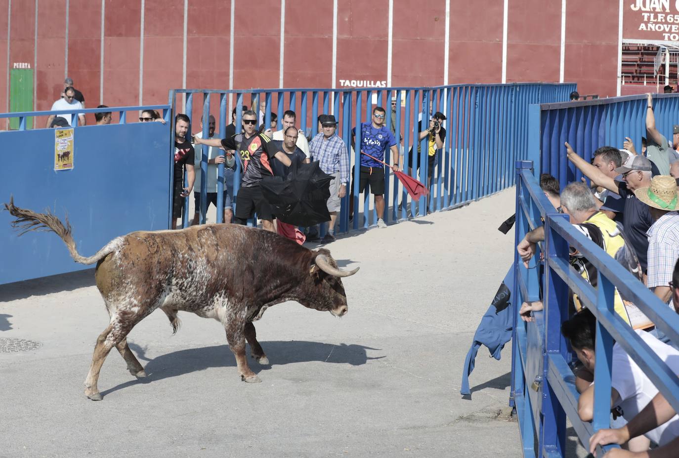 Encierro del lunes en Aldeamayor de San Martín