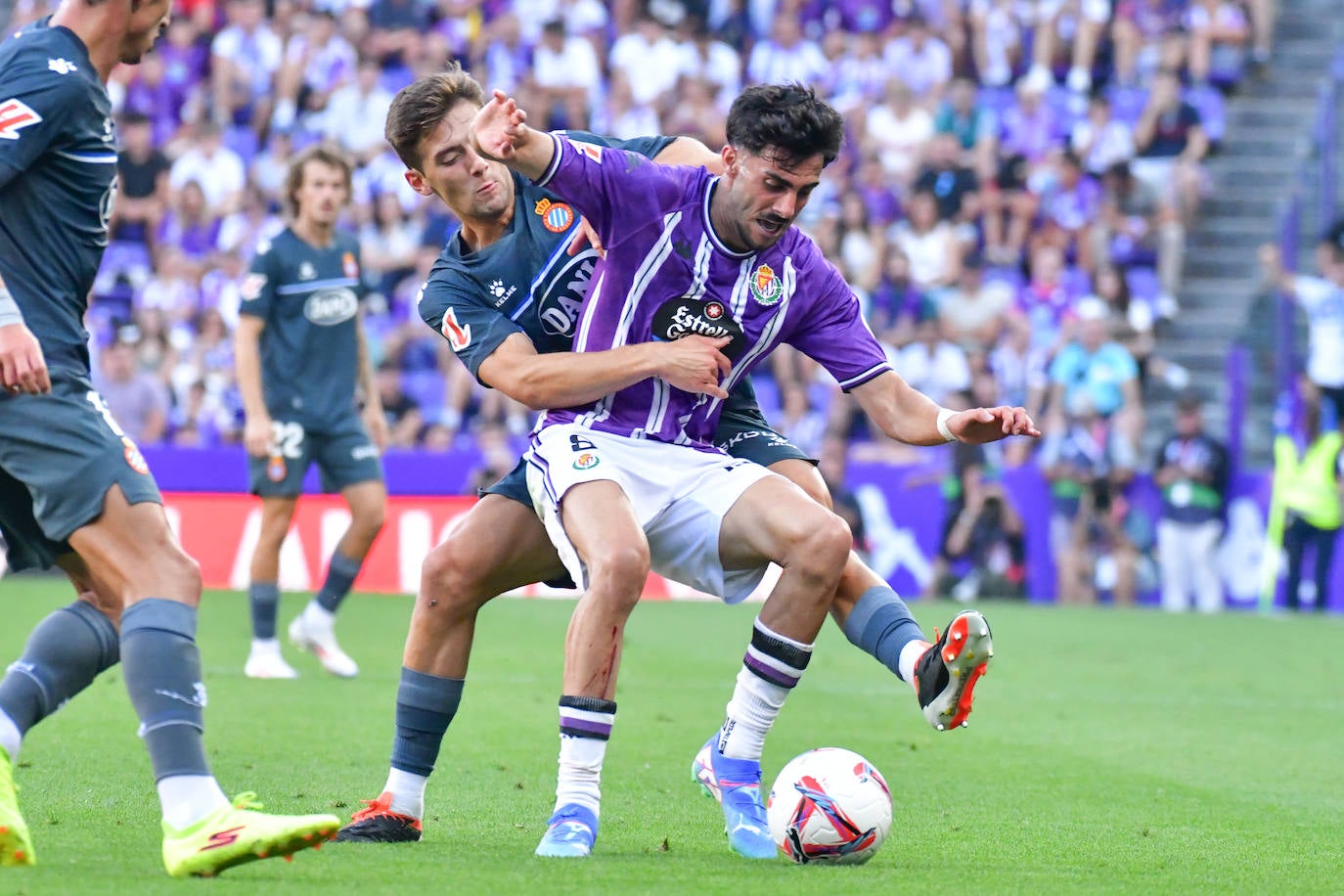 La victoria del Real Valladolid en su regreso a Primera, en imágenes