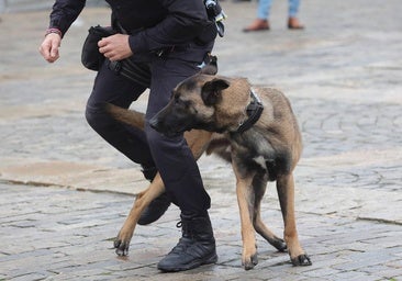 Intervienen cien gramos de marihuana a un hombre de 45 años