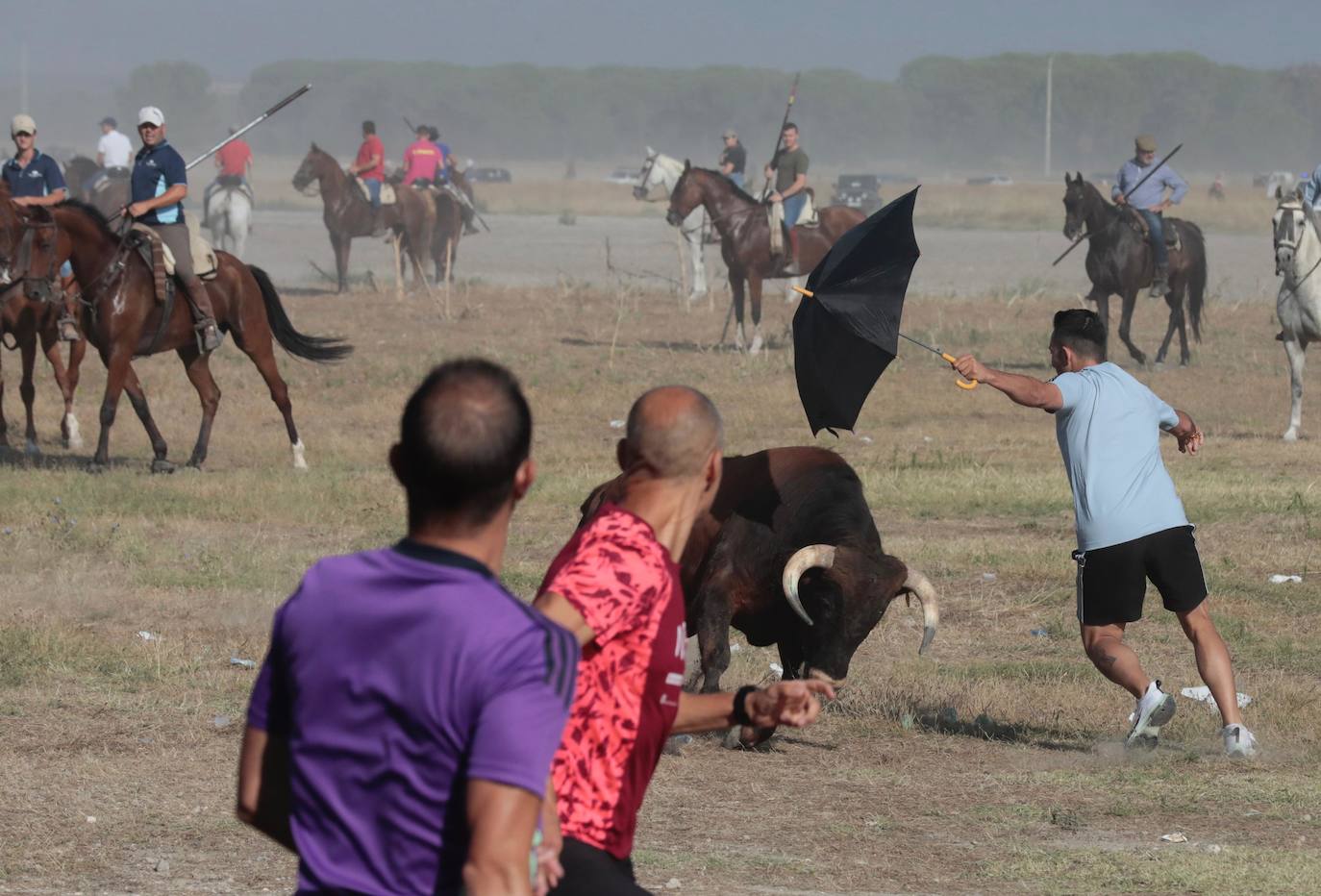 Encierro del lunes en Aldeamayor de San Martín