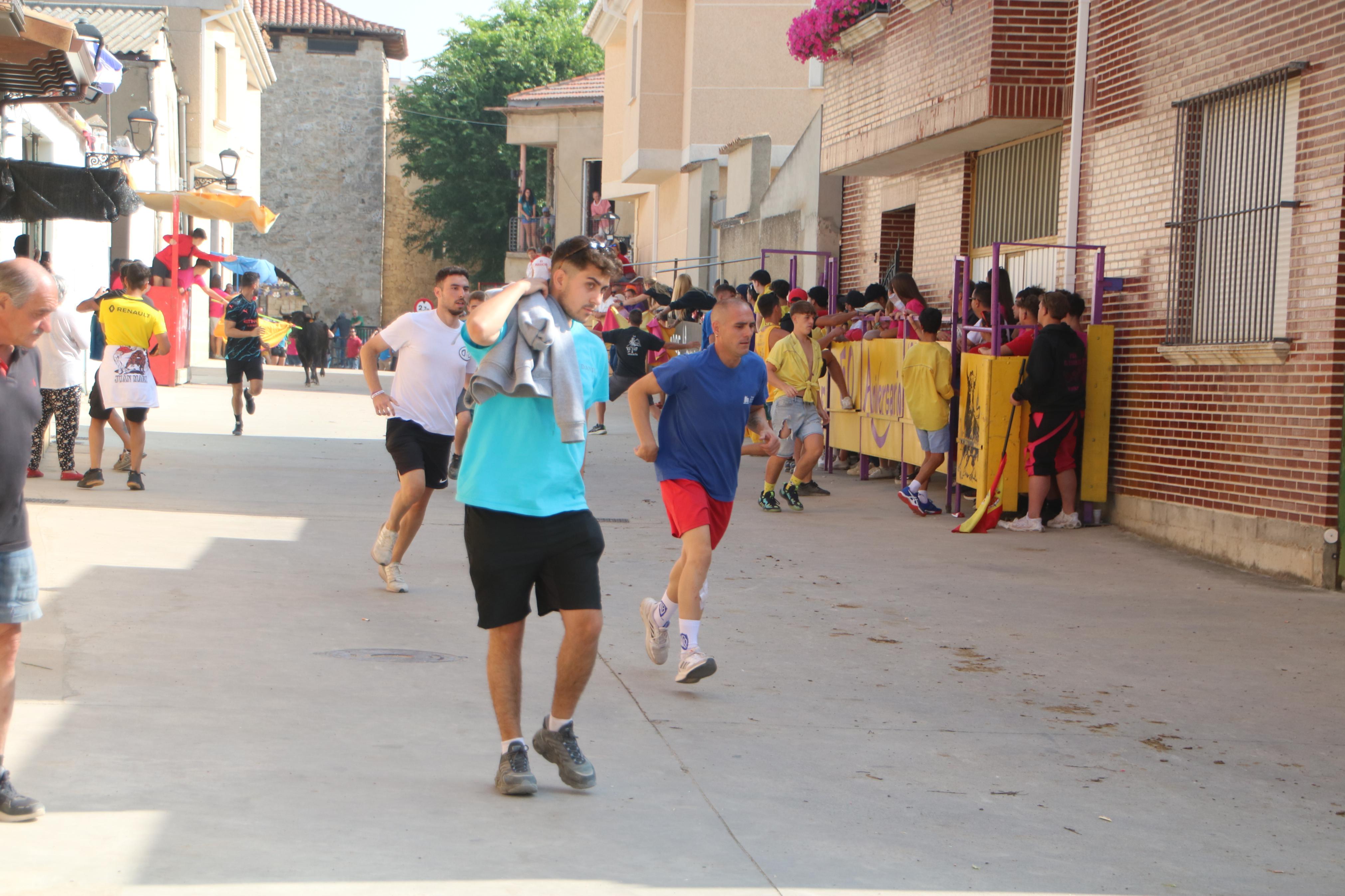 Dueñas celebra sus encierros tradicionales