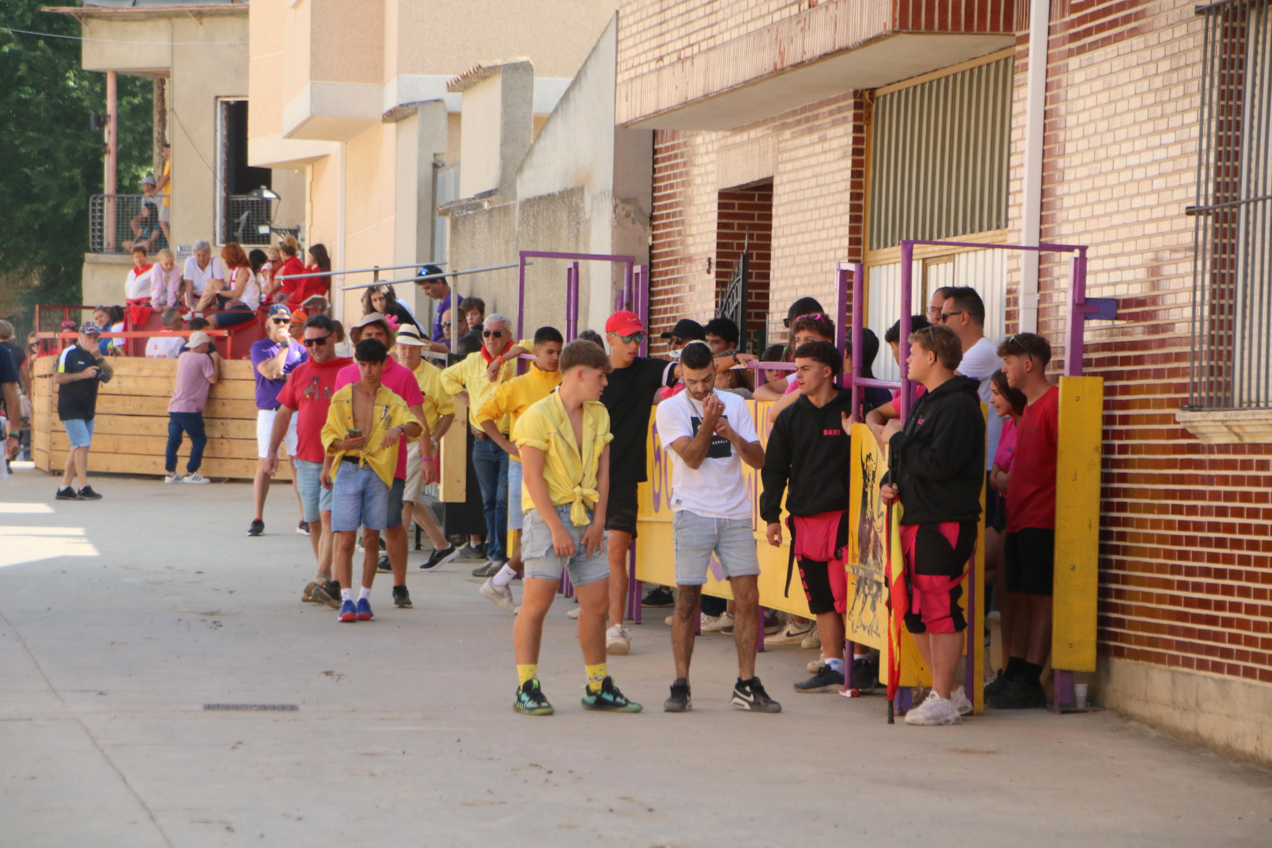 Dueñas celebra sus encierros tradicionales