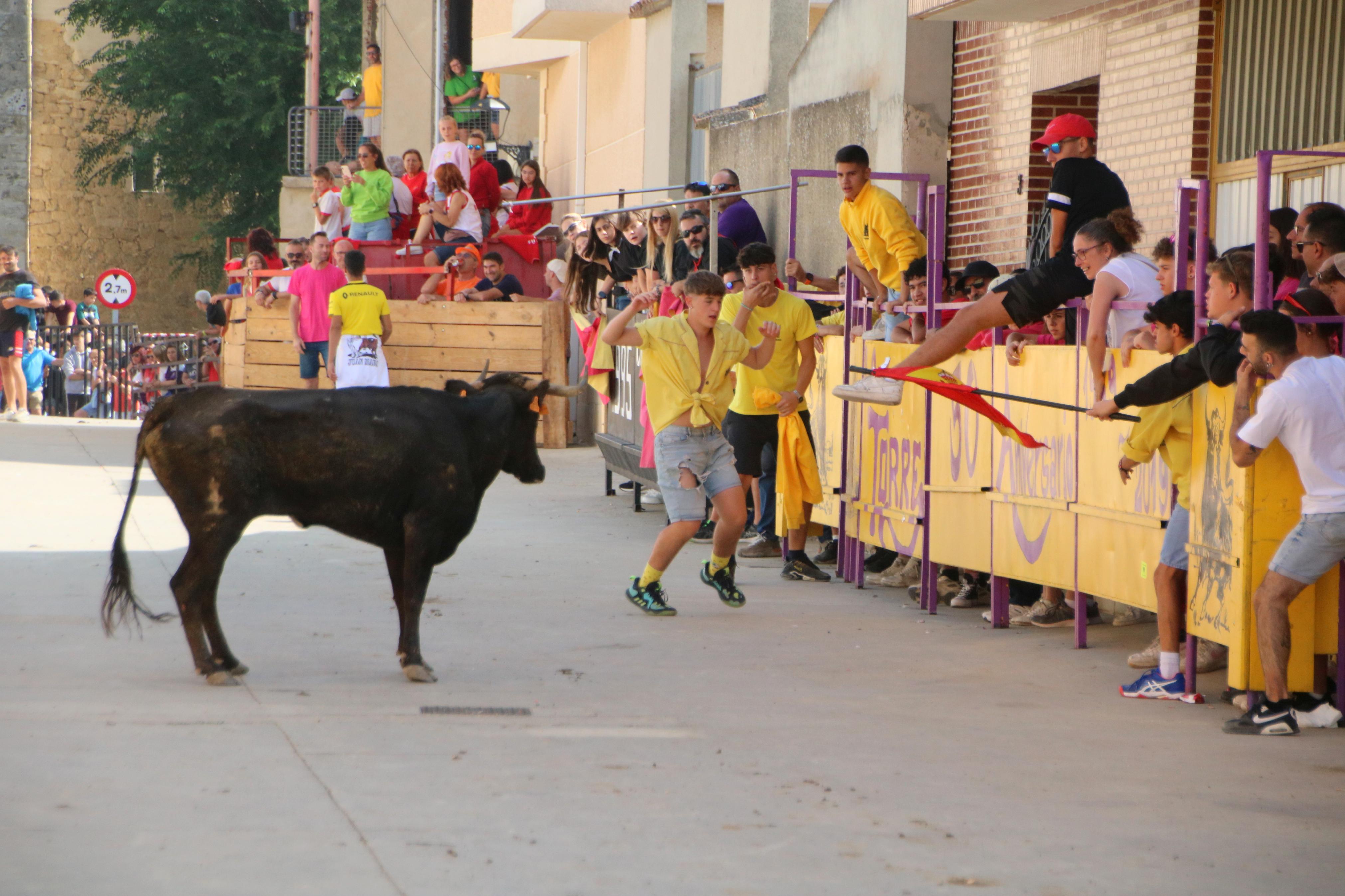 Dueñas celebra sus encierros tradicionales