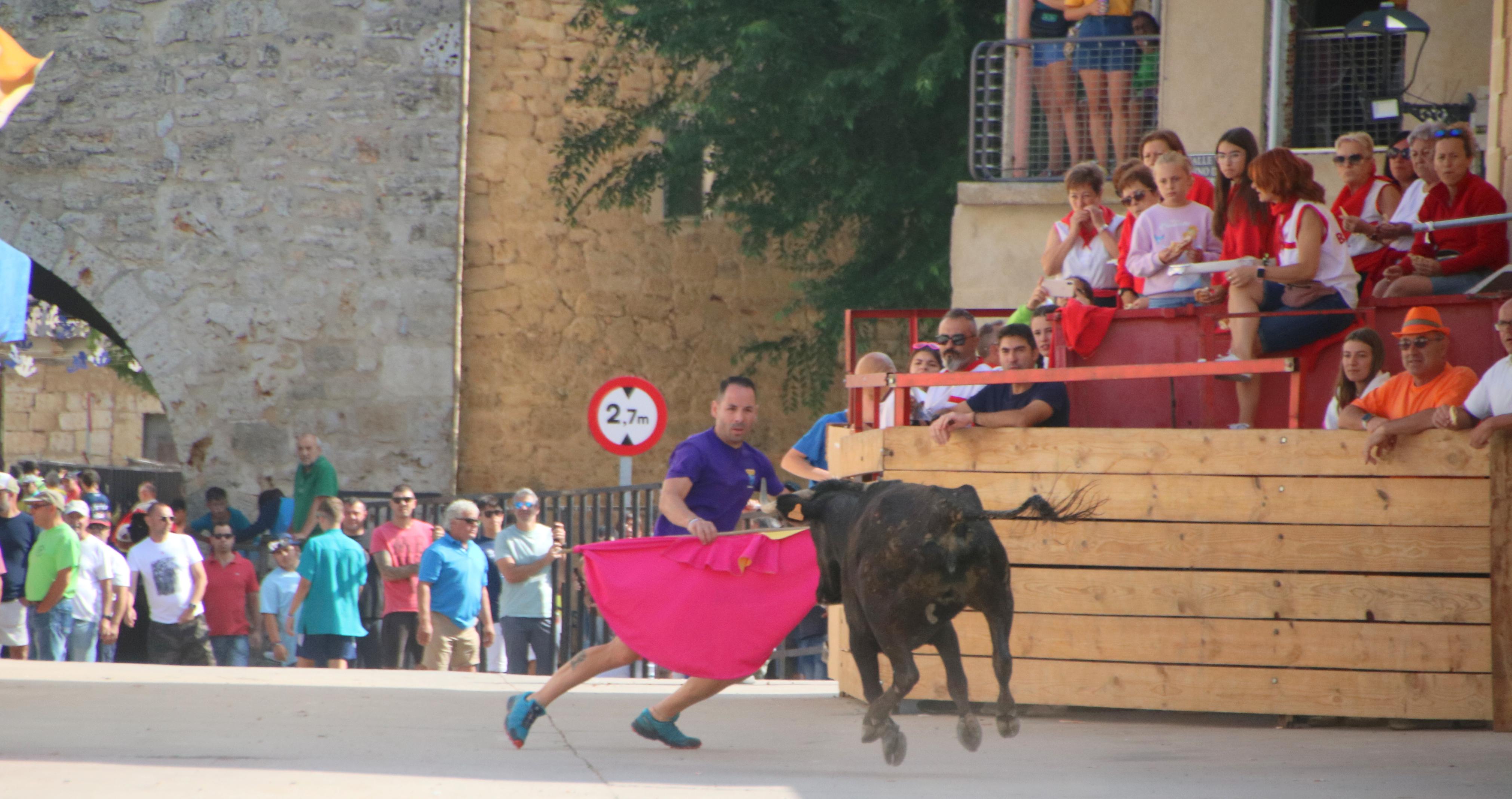 Dueñas celebra sus encierros tradicionales