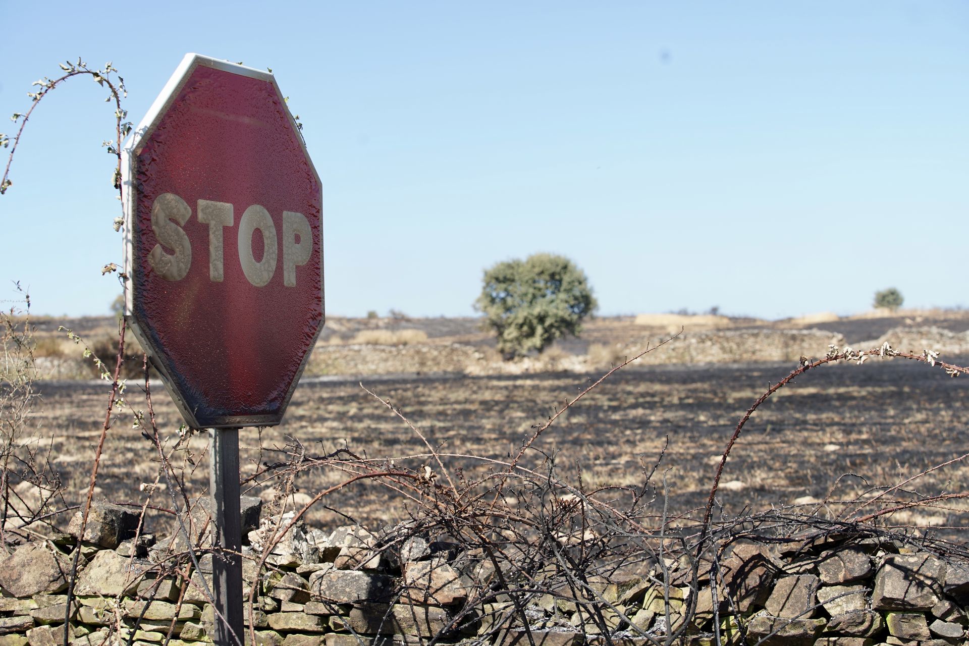 El incendio forestal de Castrillo de los Polvazares baja a nivel 1