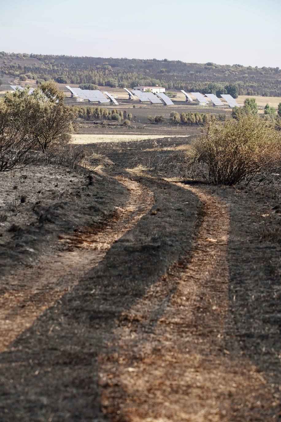 El incendio forestal de Castrillo de los Polvazares baja a nivel 1