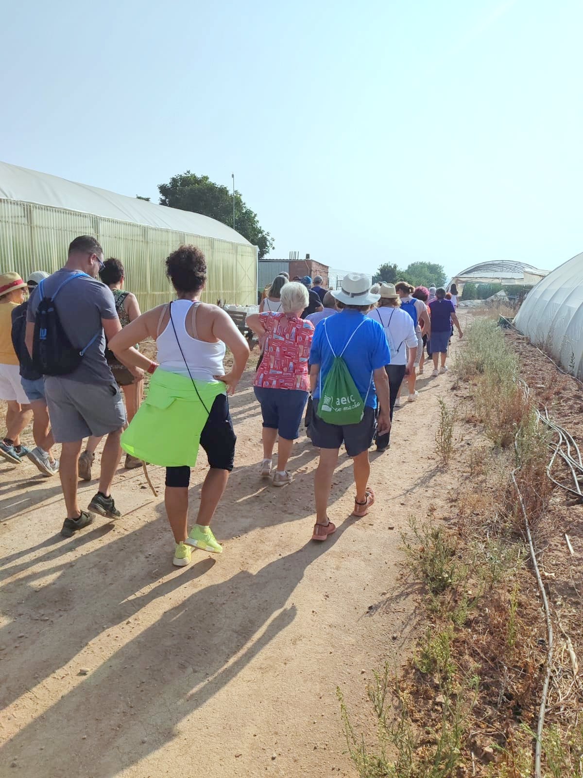 Palenzuela, Villahán y Tabanera de Cerrato celebran su Marcha Solidaria