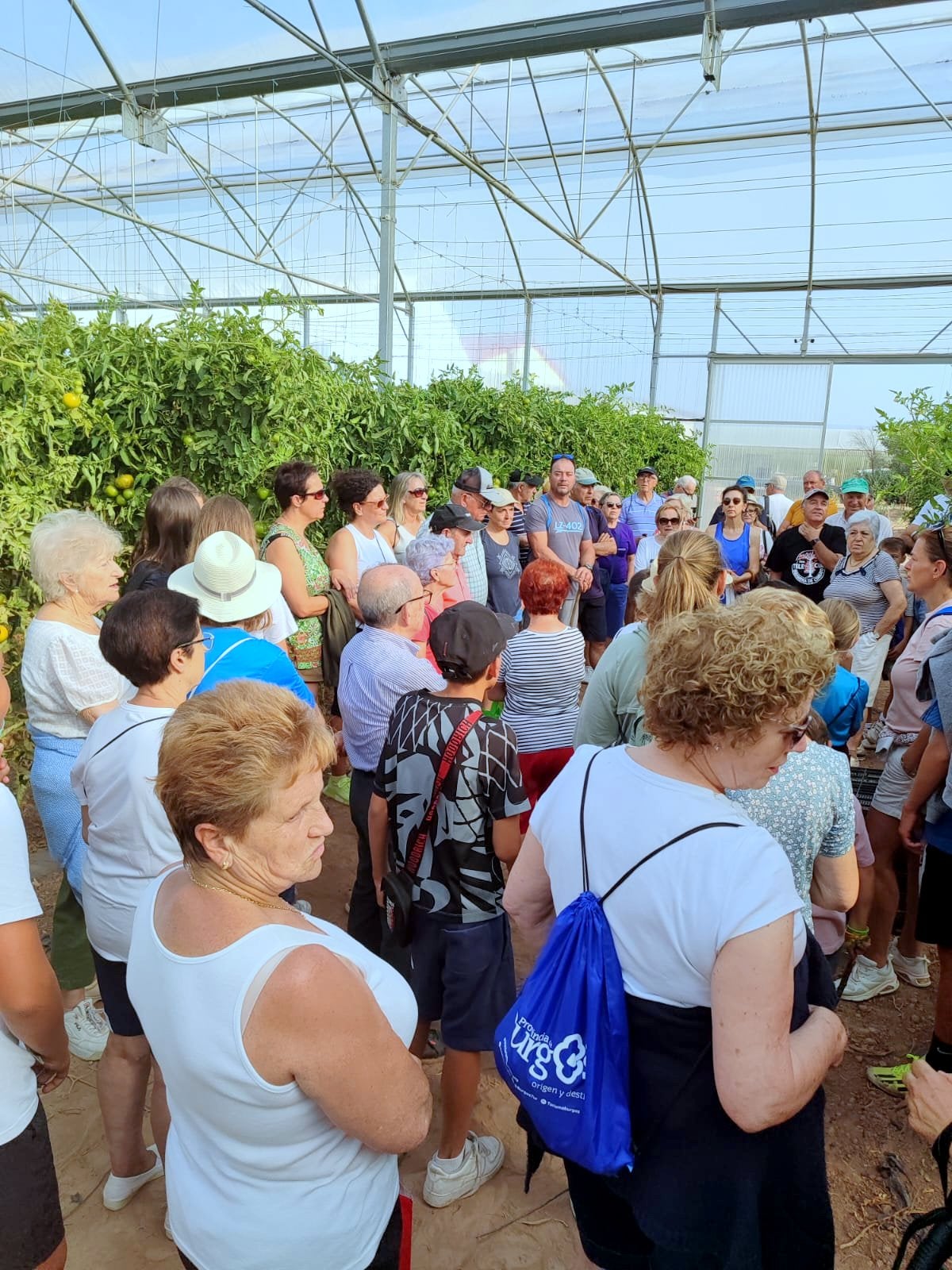 Palenzuela, Villahán y Tabanera de Cerrato celebran su Marcha Solidaria