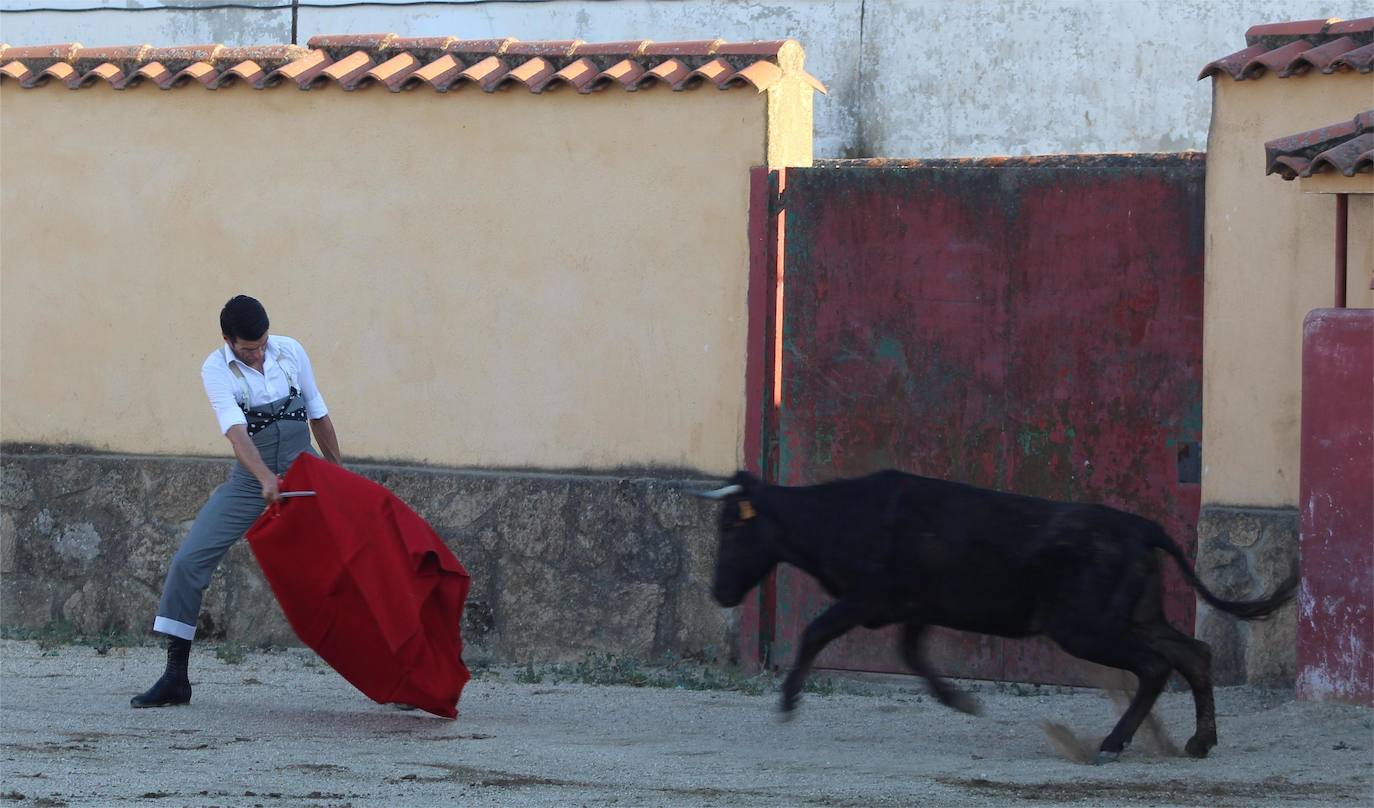 Emilio de Justo celebra una tienta antes de enfrentarse a seis toros en Valladolid