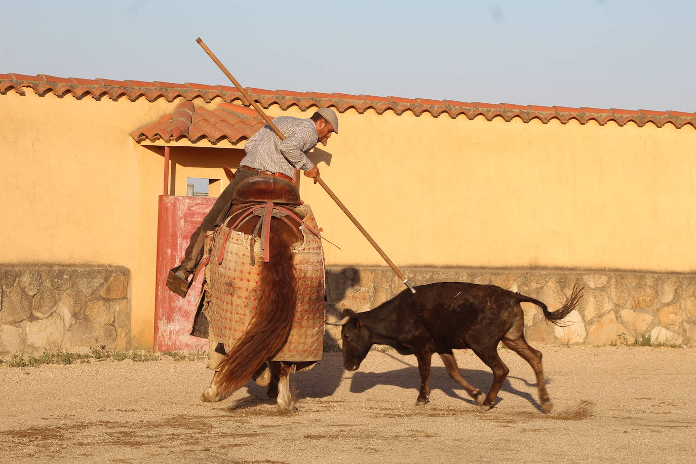 Emilio de Justo celebra una tienta antes de enfrentarse a seis toros en Valladolid