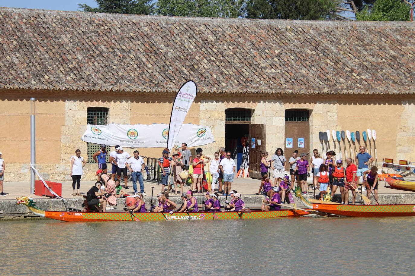 Las Vallkirias Pisuerga surcan las aguas del Canal de Castilla en Rioseco