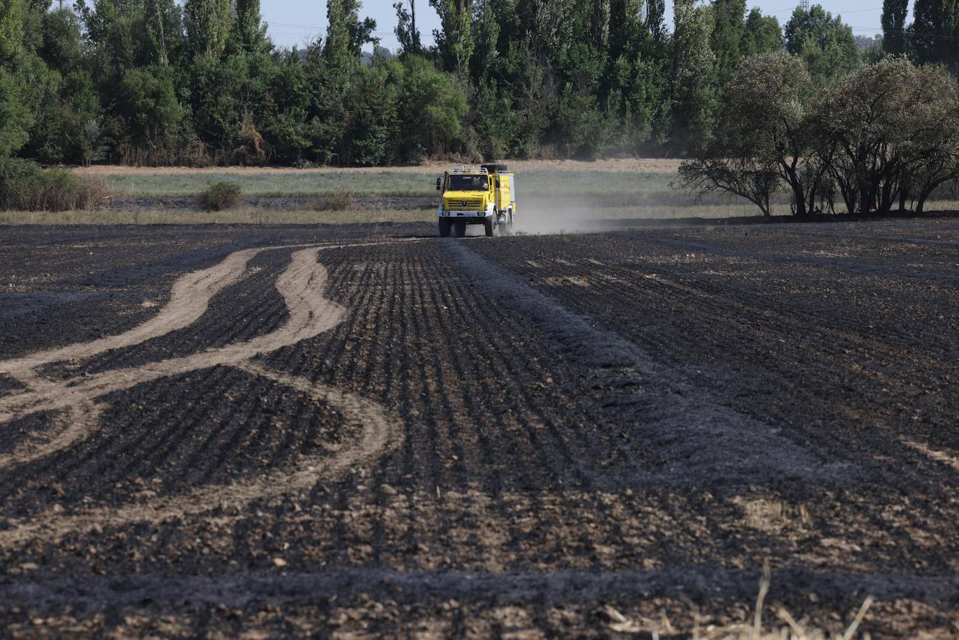 Los servicio medio ambientales, abandona la zona del incendio.