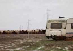 Los agentes destacan la agresividad de los perros que mataron a la joven de Roales