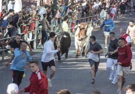 Un momento del primer encierro de las fiestas de Cuéllar