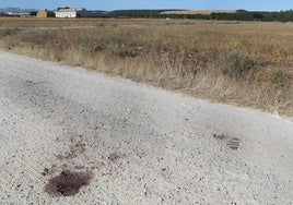 Restos de sangre en el camino rural de Barrios de la Vega en el que el perro atacó a Justiniano Calvo.