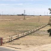 El aviso de Medina sobre las talanqueras del campo: «No son para espectadores»