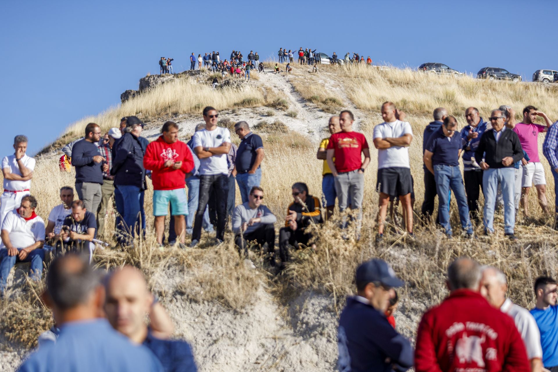 Fotografías del segundo encierro de Cuéllar.