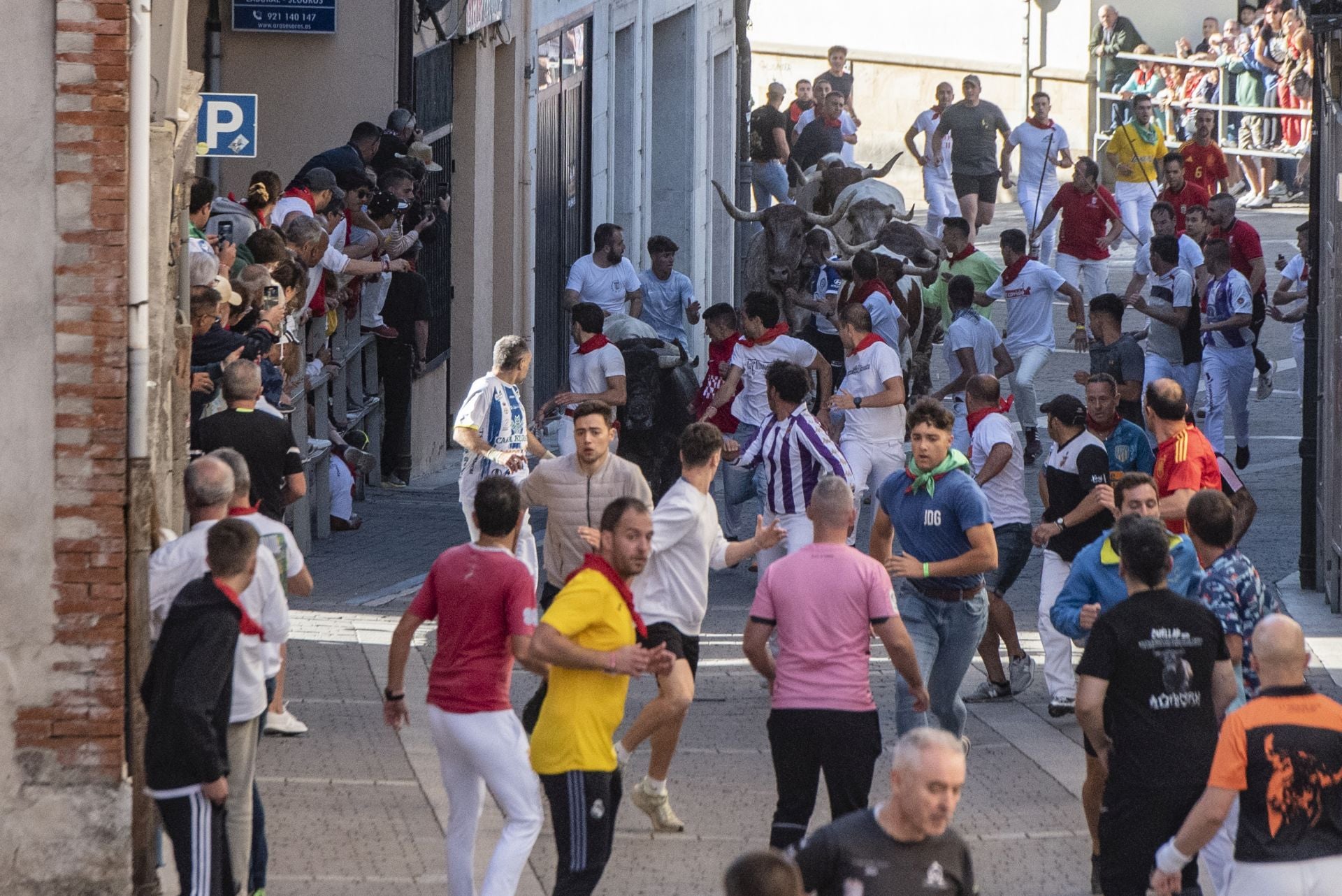 El segundo encierro de Cuéllar, en imágenes (2 de 3)