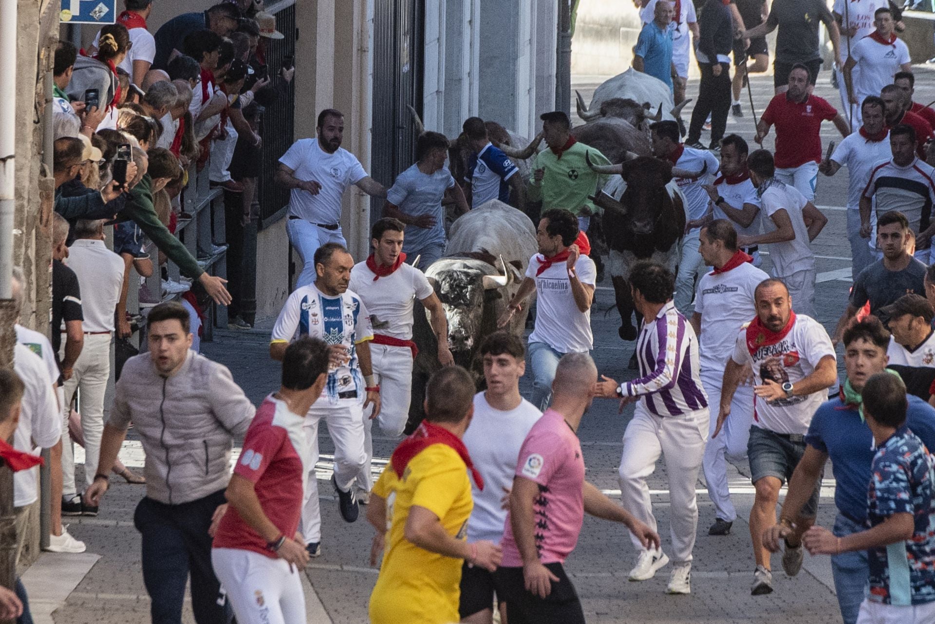 El segundo encierro de Cuéllar, en imágenes (2 de 3)