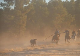 Segundo encierro de Cuéllar, con toros de Partido de Resina