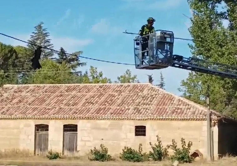 Intervención de los bomberos de Rioseco este martes en el Canal de Castilla para salvar a un pato.