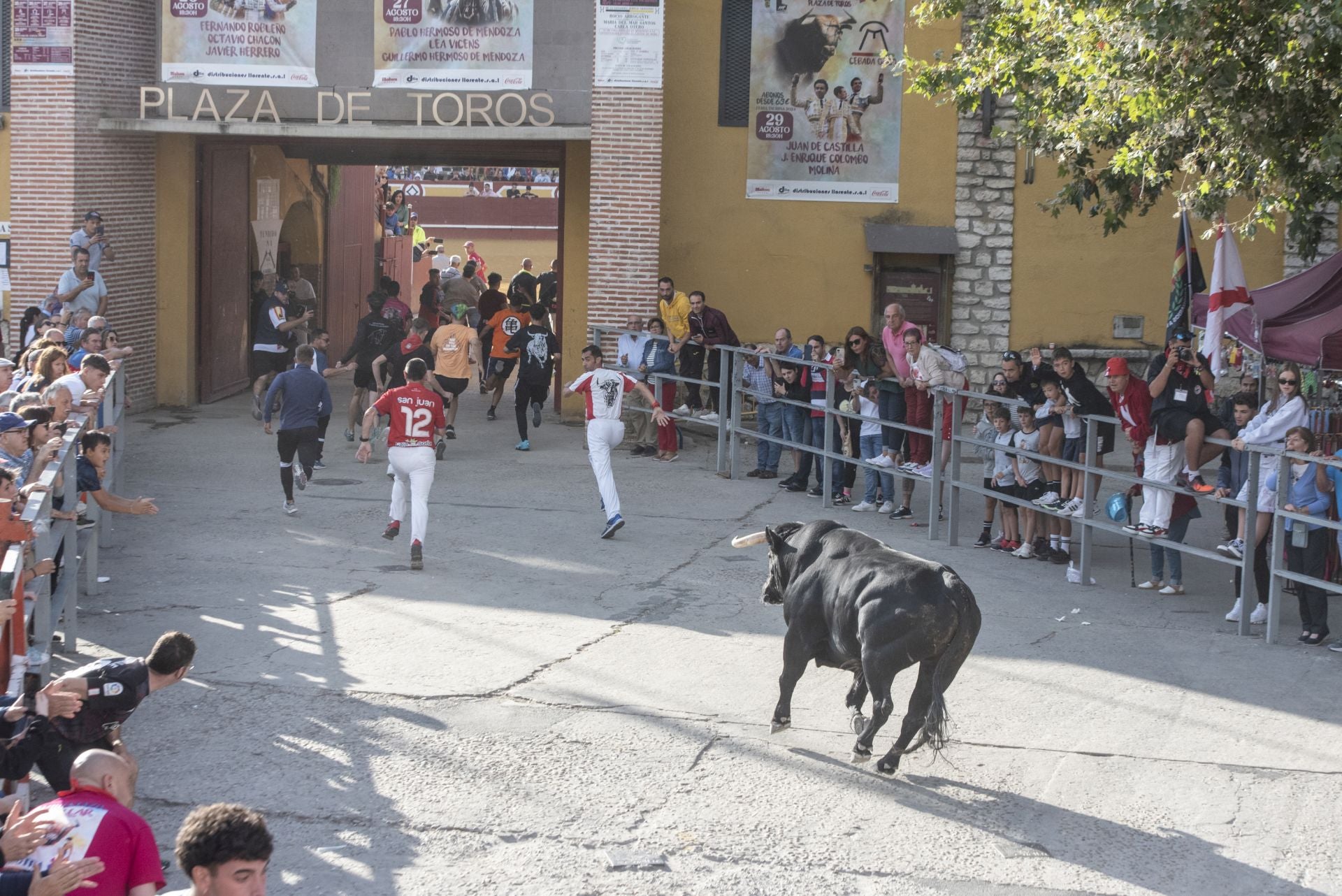 Fotografías del tercer encierro de Cuéllar (1 de 3)