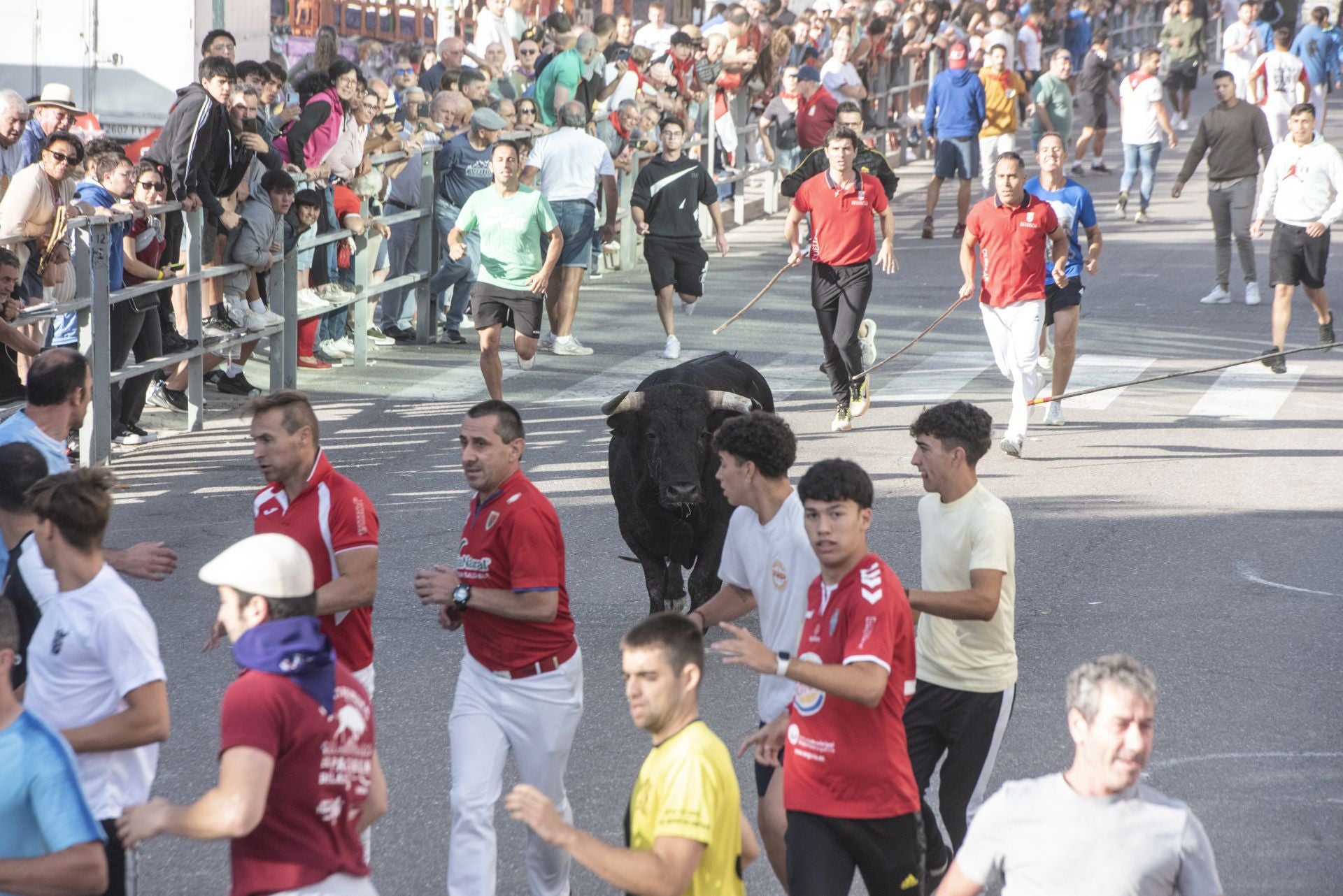 Fotografías del tercer encierro de Cuéllar (1 de 3)