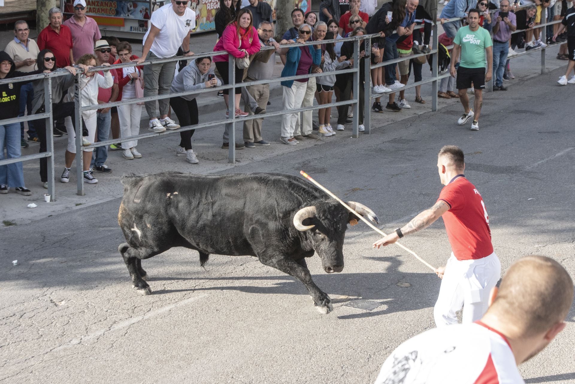 Fotografías del tercer encierro de Cuéllar (1 de 3)