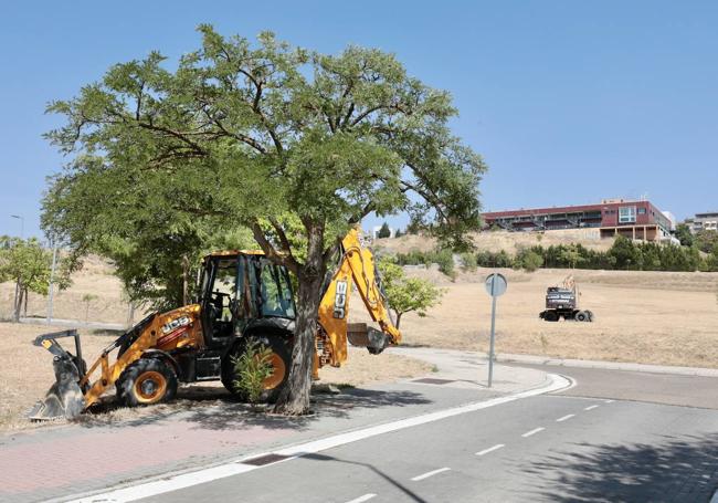 Las máquinas trabajan desde el lunes en la urbanización de los terrenos de la ladera suroeste.