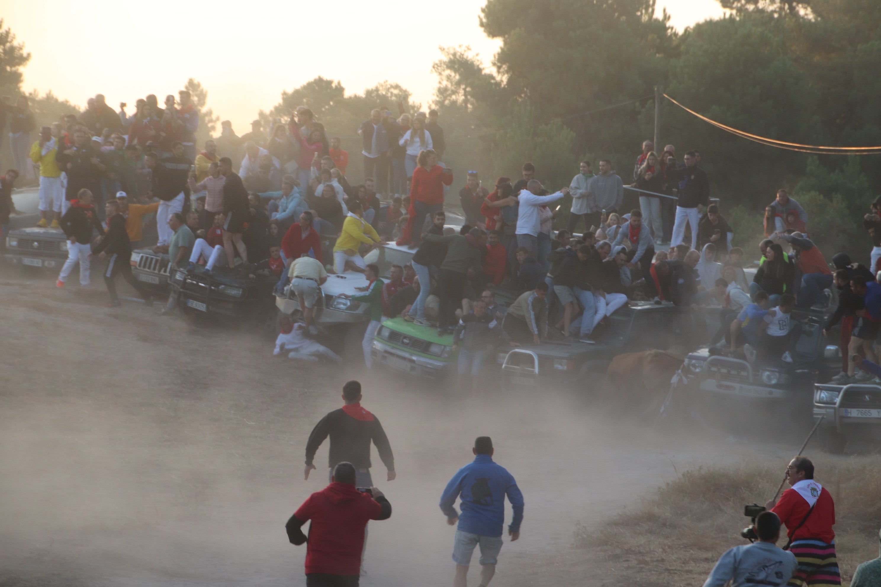 El toro se dirige a la zona de los coches.