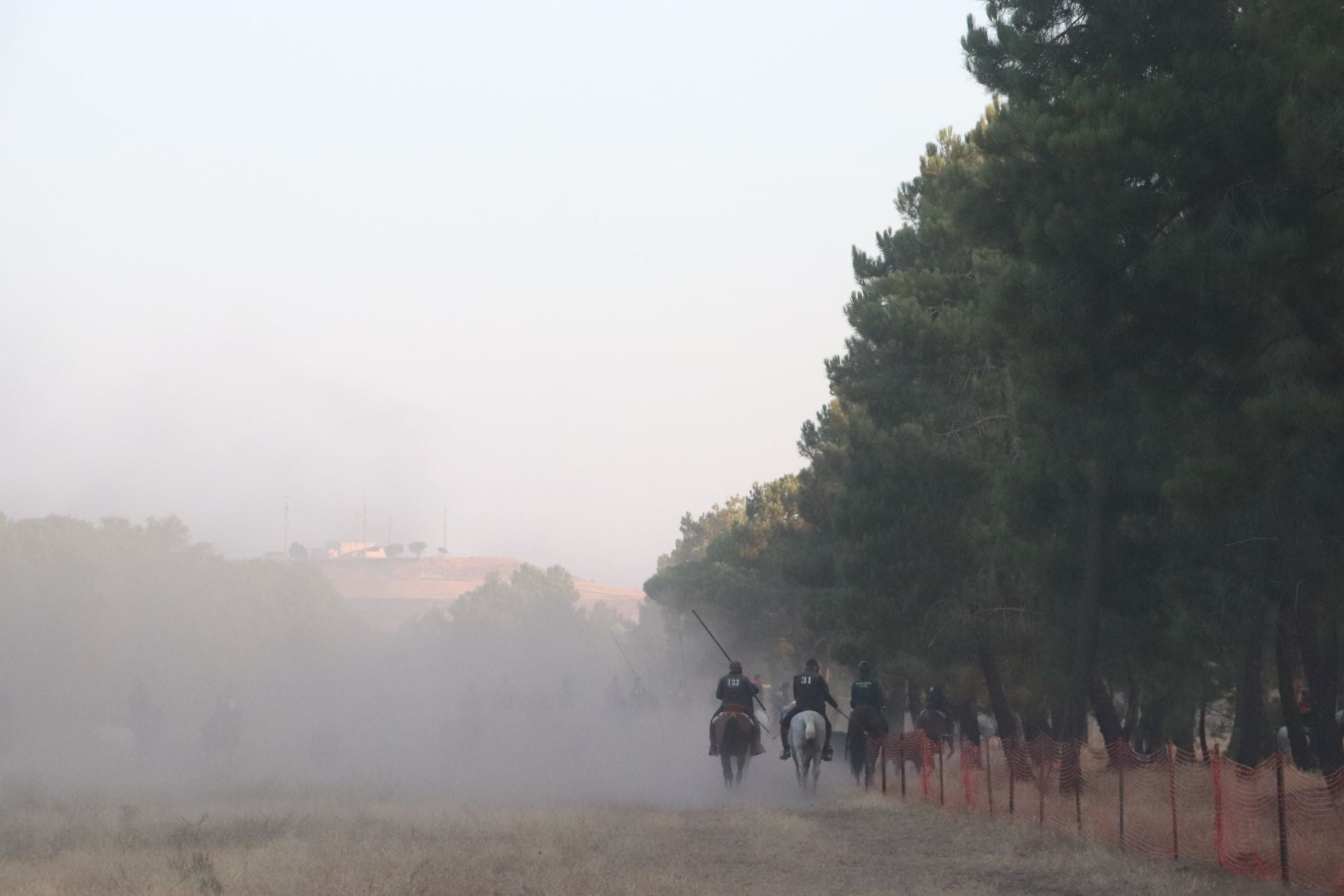 Fotos del cuarto encierro de Cuéllar (2 de 3)