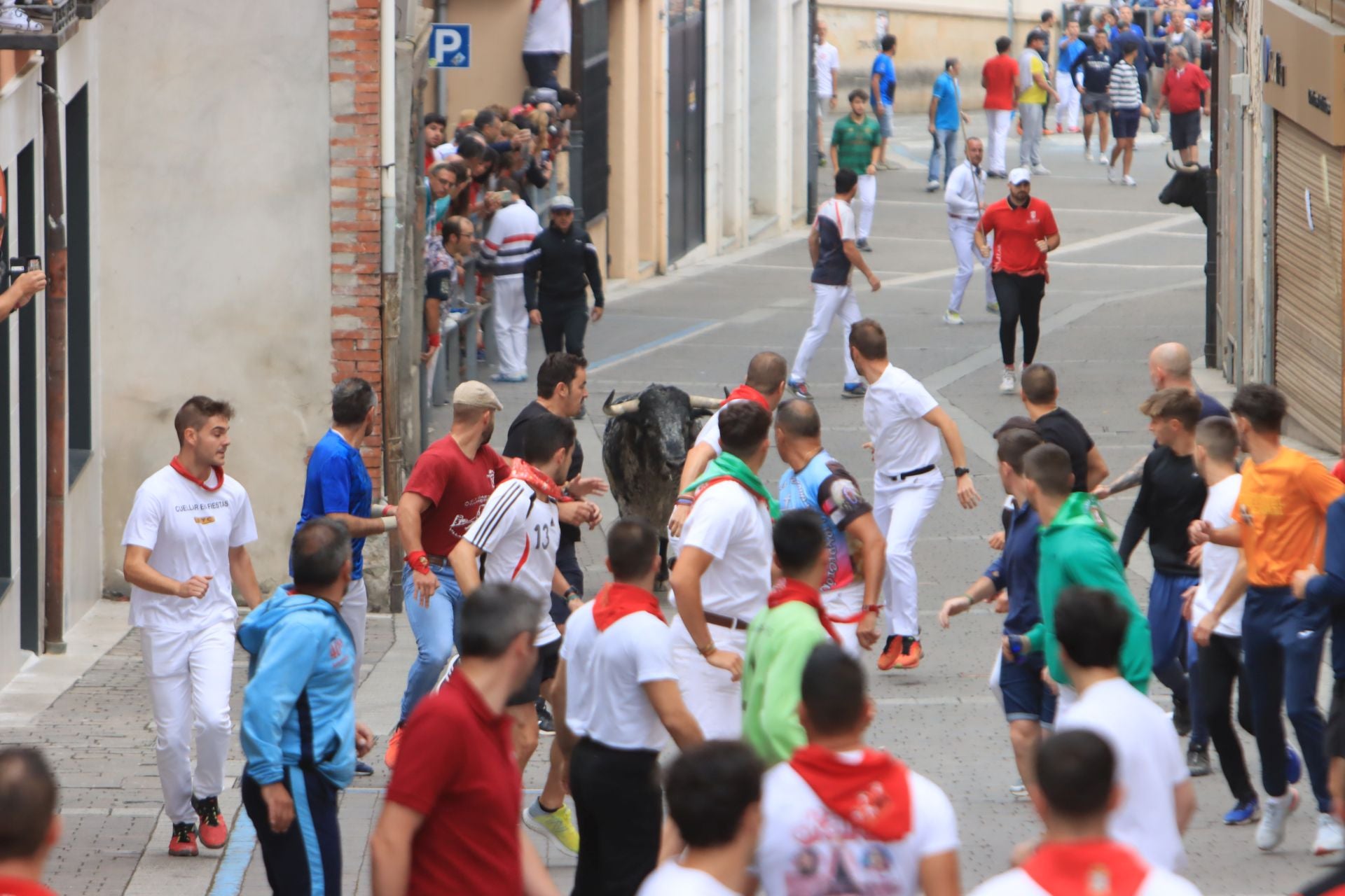 Fotos del quinto y último encierro de Cuéllar (3 de 3)