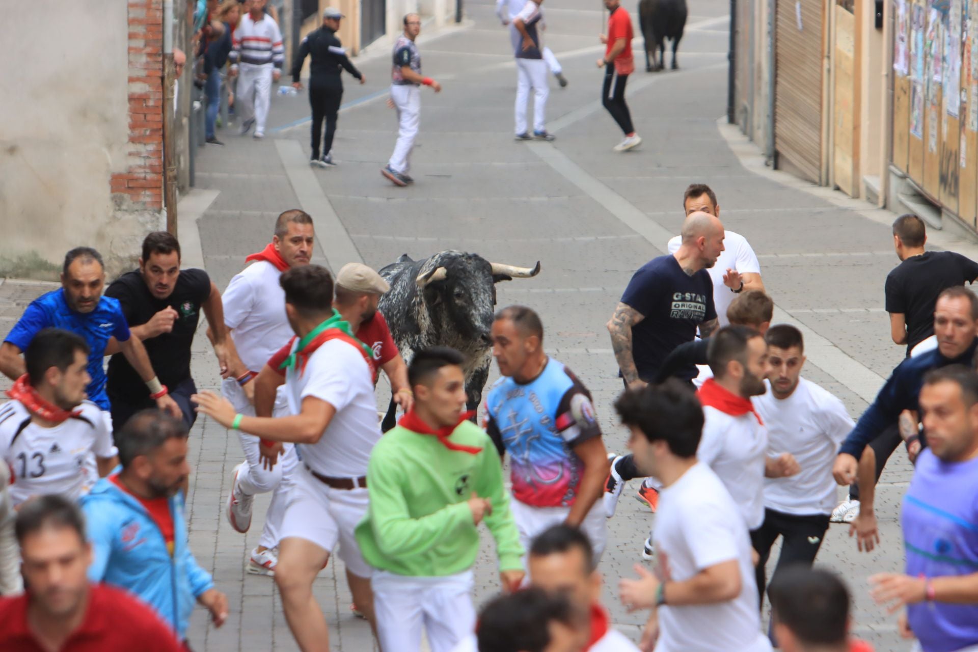 Fotos del quinto y último encierro de Cuéllar (3 de 3)