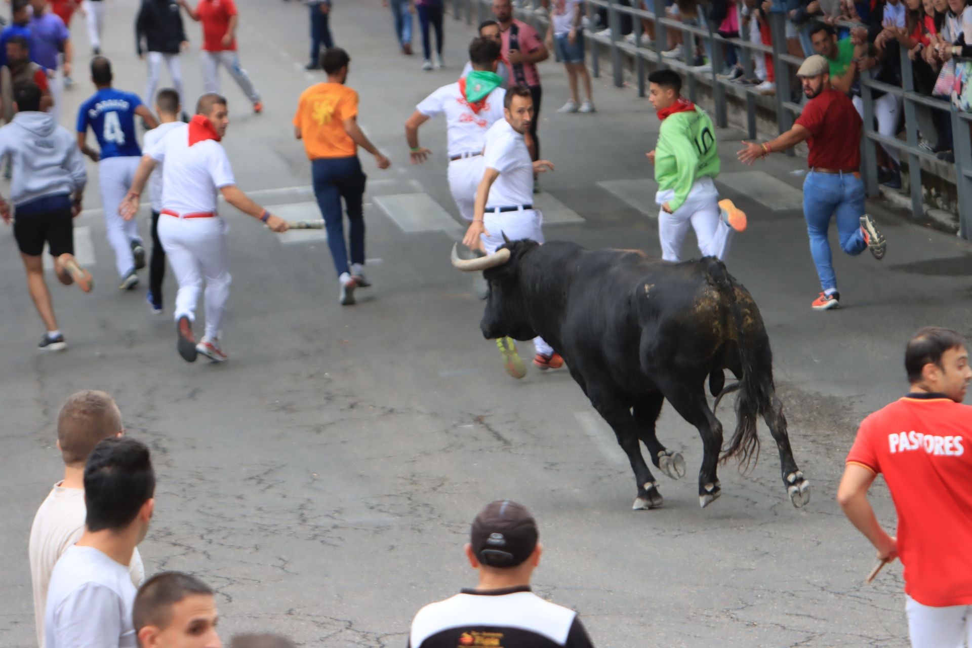 Fotos del quinto y último encierro de Cuéllar (3 de 3)