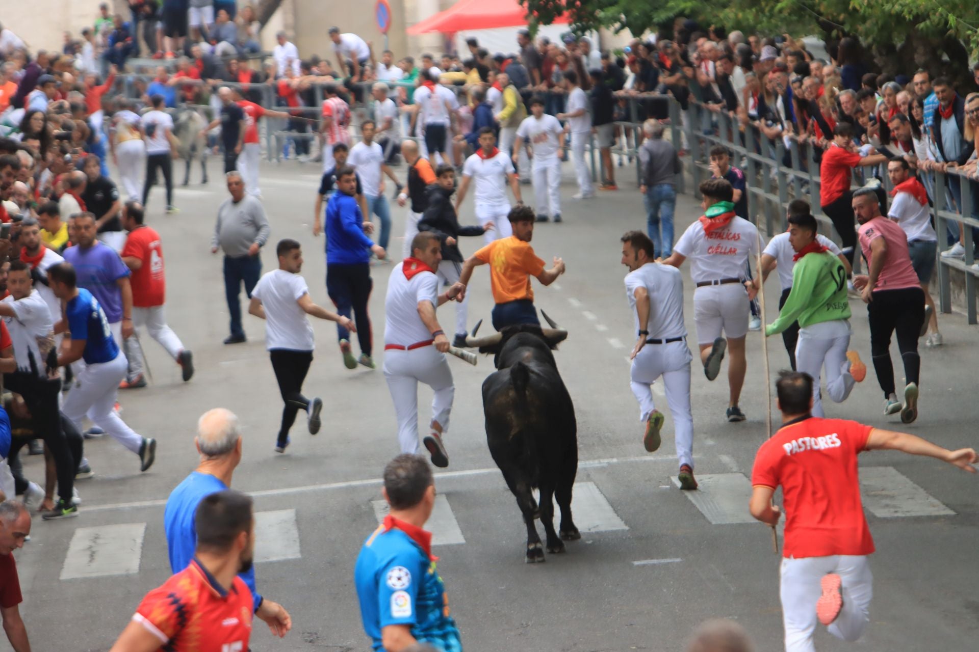 Fotos del quinto y último encierro de Cuéllar (3 de 3)